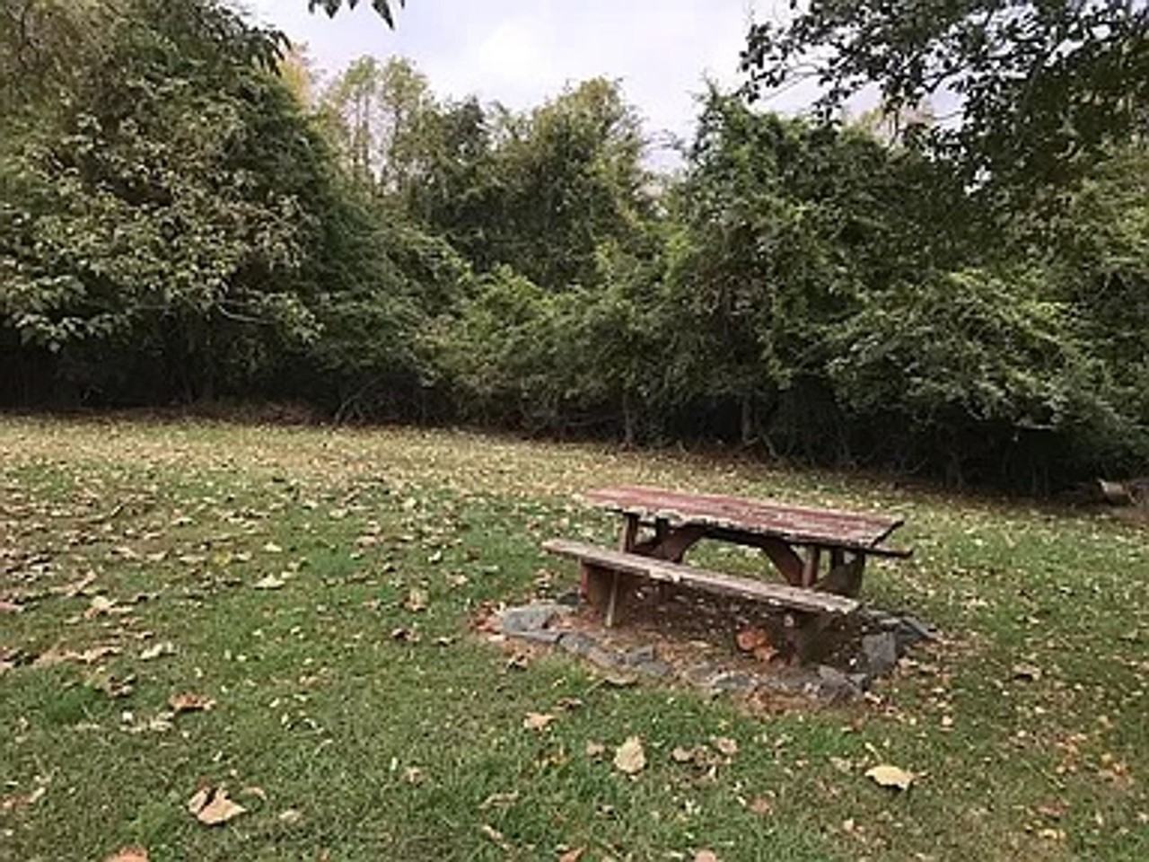 5635 Sandhill Dr - Photo 2 of 12