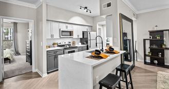 The Palms at Clear Lake Apartments - Photo 1 of 1