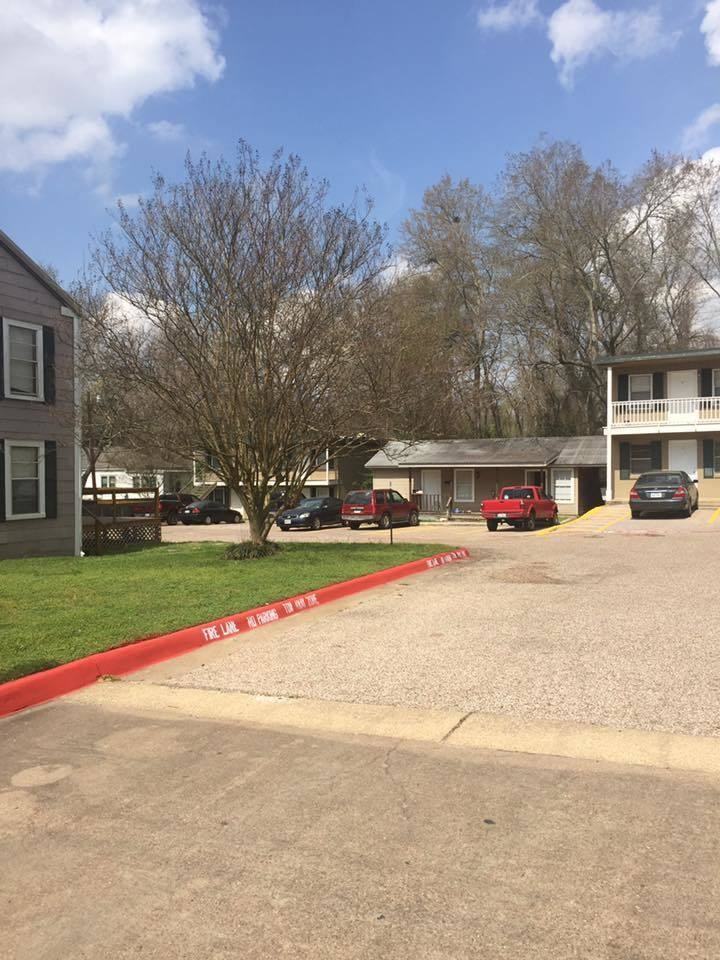 Blue Bonnet - Photo 7 of 11