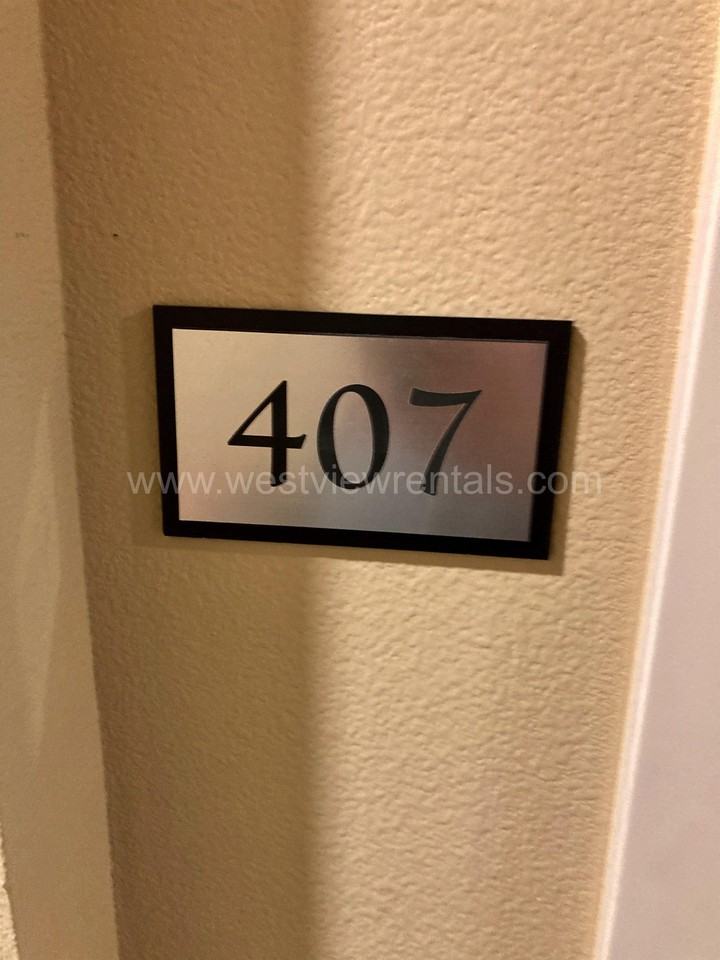 Turnstone - Photo 2 of 50