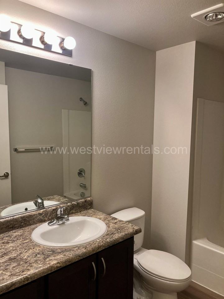 Turnstone - Photo 4 of 50