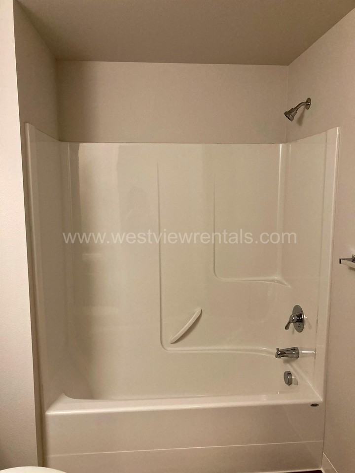 Turnstone - Photo 5 of 50