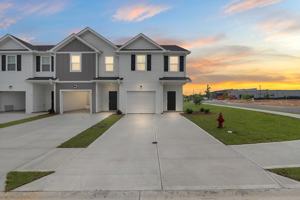 featured image of Old Forester Way