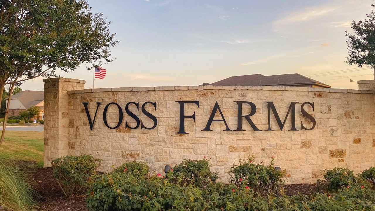 2915 Whinchat #NA - Photo 6 of 50