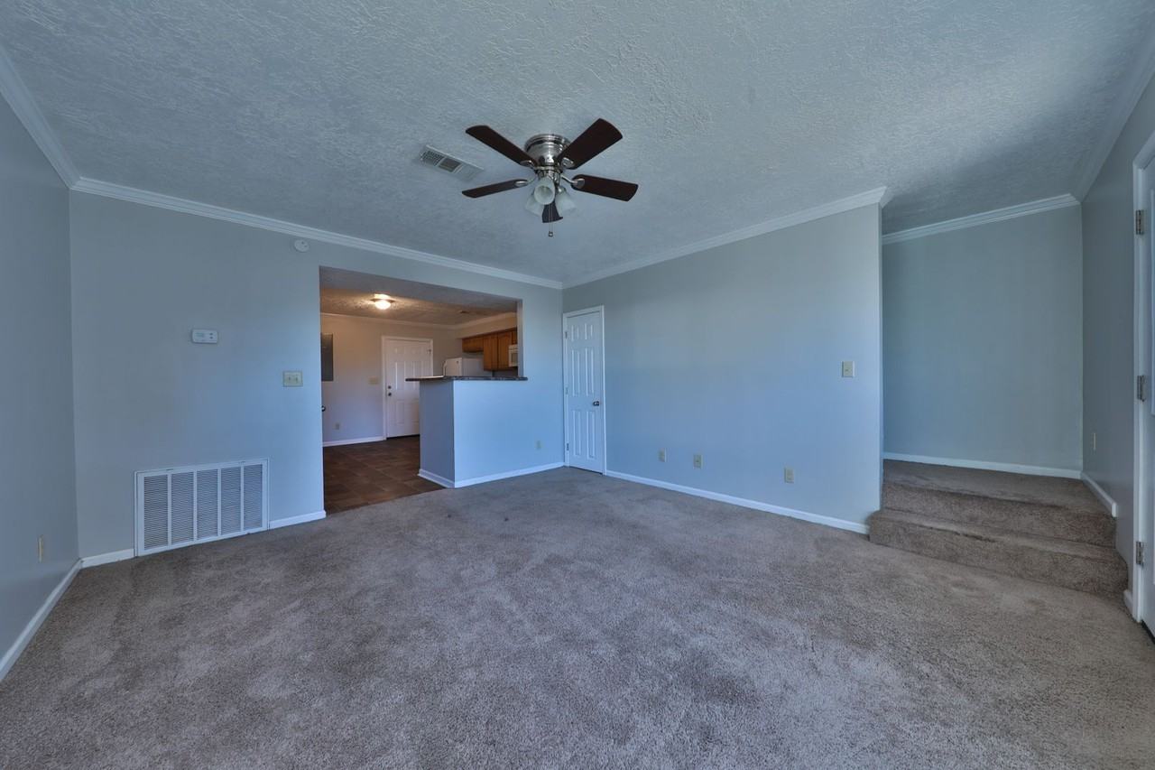 120 Moody Apartments in Martin, TN 38237 Zumper