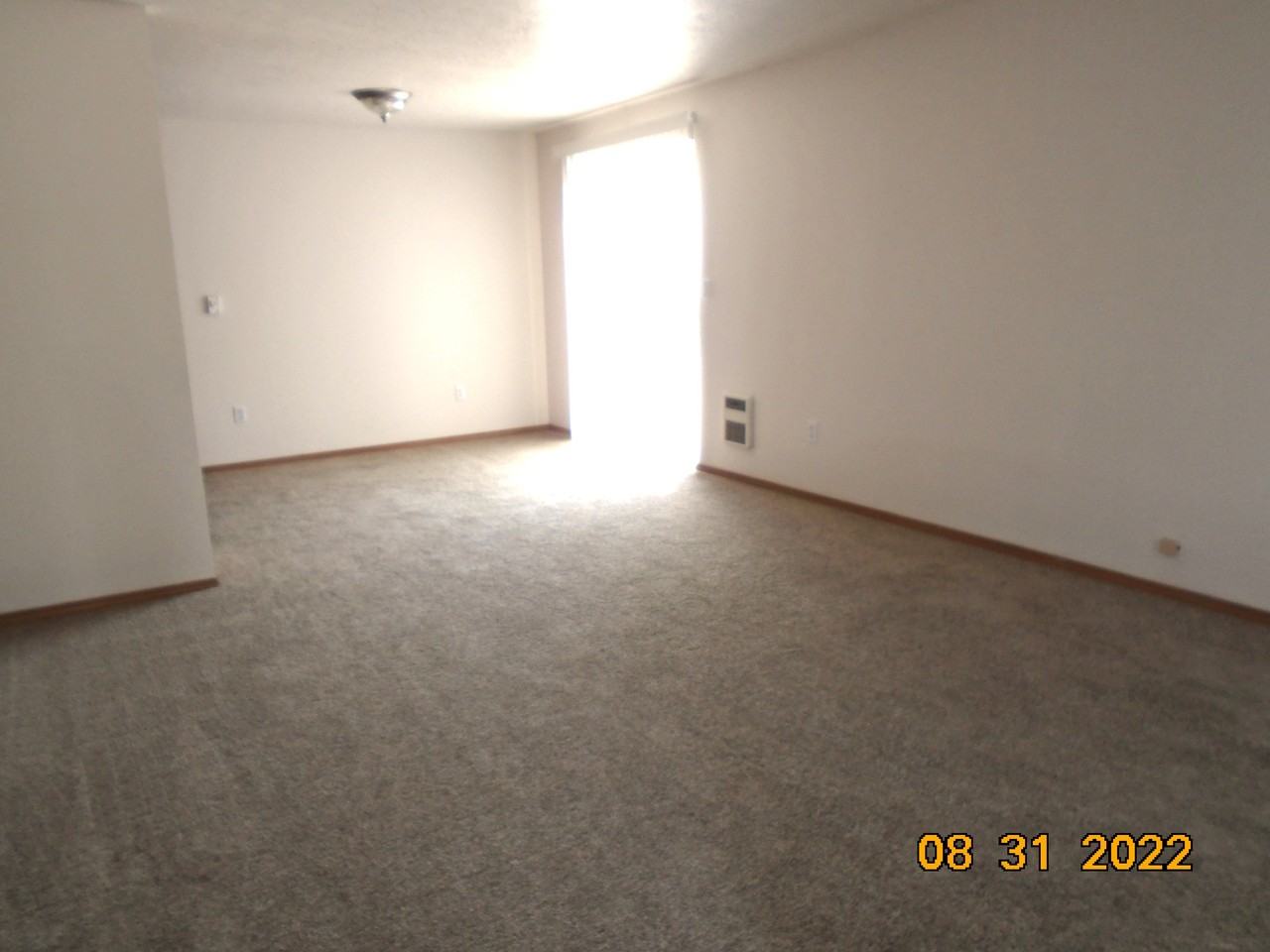 376 Shamrock Street #376 - Photo 3 of 17