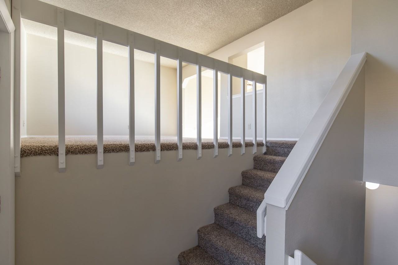 807 Foxtail St - Photo 3 of 22