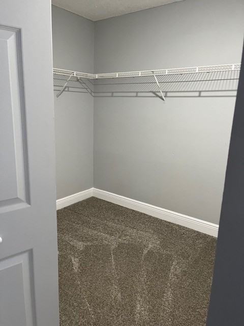 5206 Carillon Pl #5206 - Photo 6 of 19