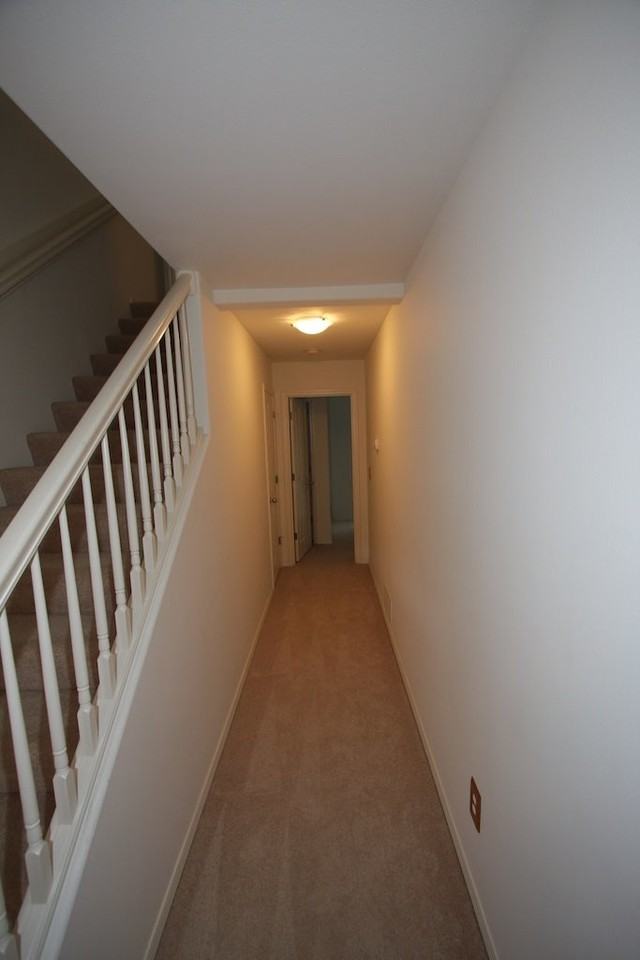135 Rusty Allen Pl - Photo 3 of 12