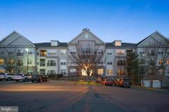 6208 Lydia Hollow Dr - Photo 1 of 1