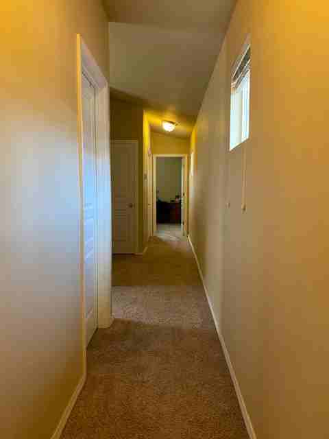 2923 W Lemhi St #1 - Photo 7 of 23