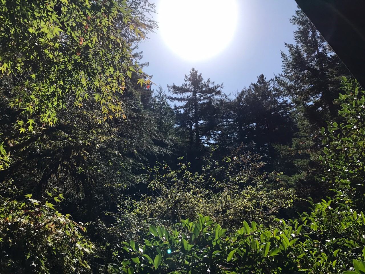 The Cabins - Photo 3 of 3