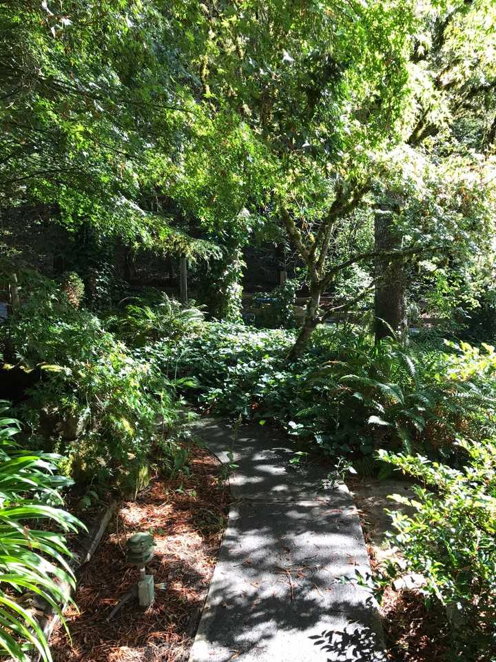 The Cabins - Photo 2 of 3