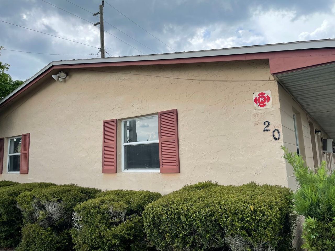 Ella - Photo 2 of 12