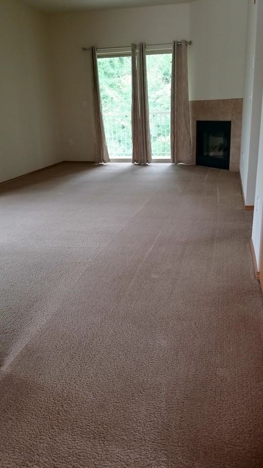 2 & 3 Bedroom ~ Briarwood Apartments - Photo 7 of 19