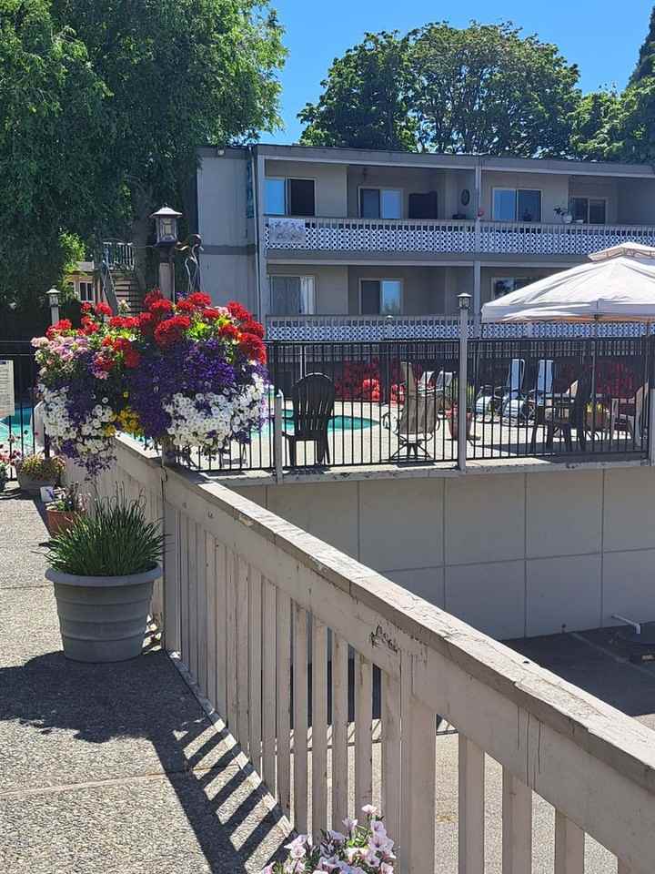 Olympic View Apartments - Photo 2 of 14