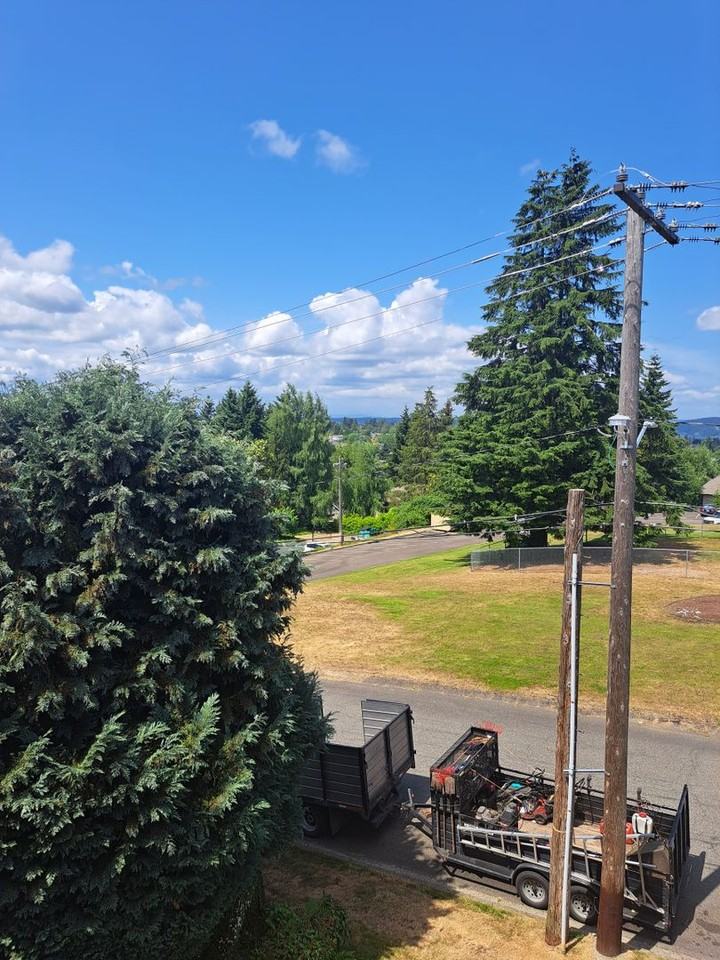 Olympic View Apartments - Photo 4 of 14