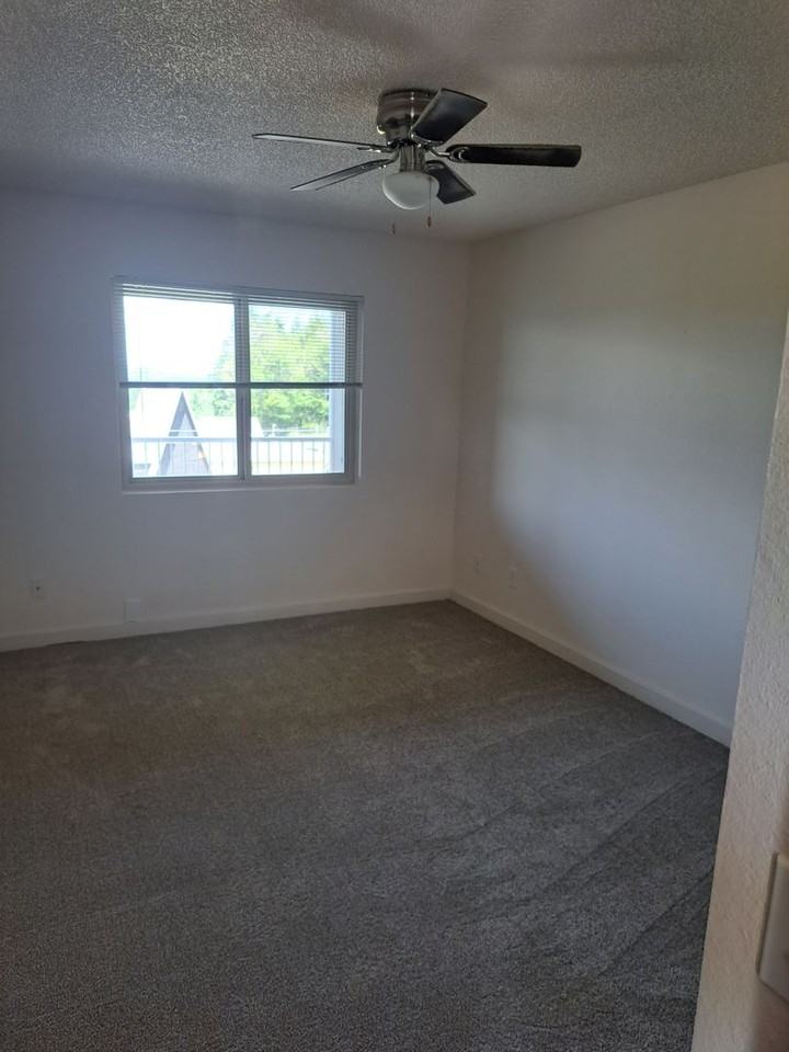 Olympic View Apartments - Photo 5 of 14