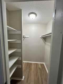 Shell Pointe- 6601 Old Shell Rd - Photo 7 of 23