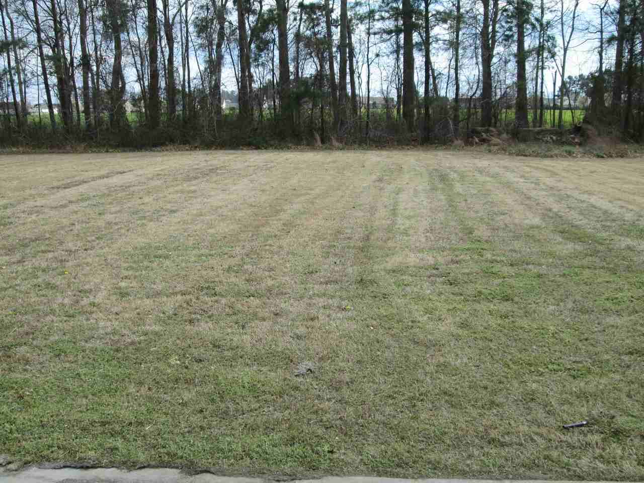 106A Ida Acres - Photo 4 of 16