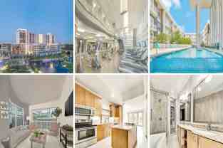 3950 Spring Valley Rd #10239 - Photo 1 of 1