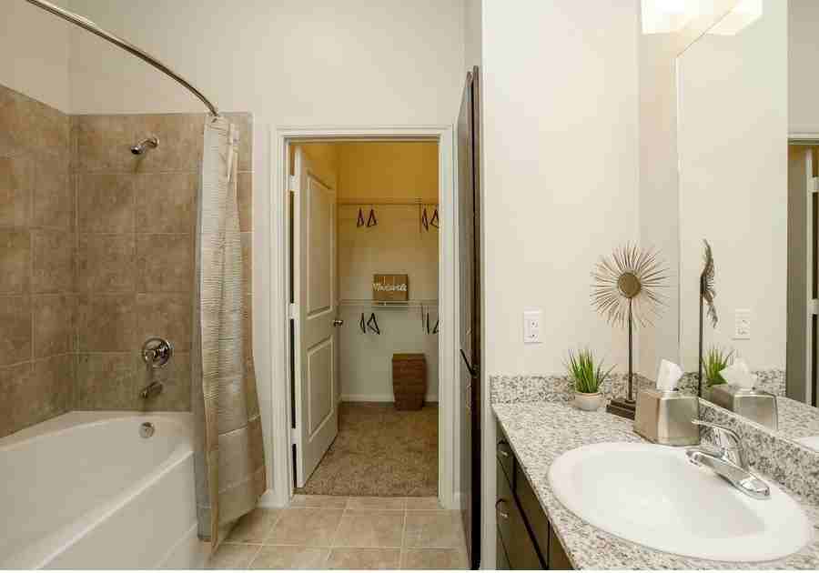 8600 Main St #156451 - Photo 7 of 11