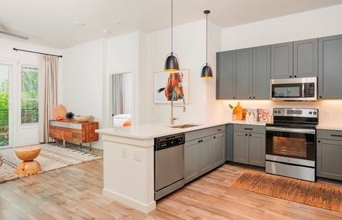 2511 W Braker Ln #111748 - Photo 4 of 11