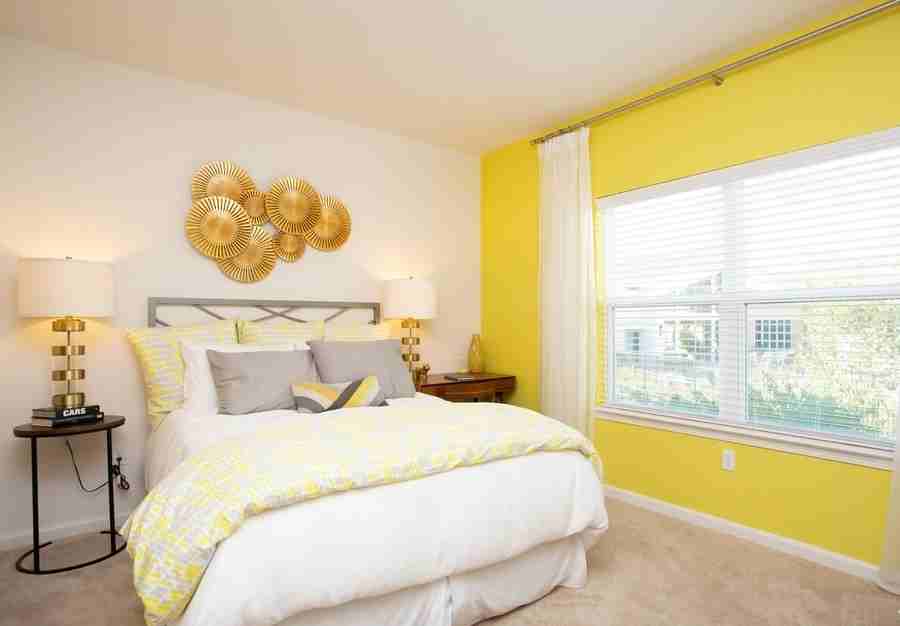 3003 Blue Ridge Dr #123737 - Photo 6 of 11