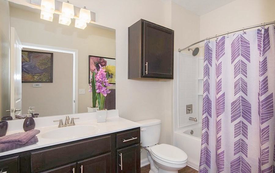 3559 Discovery Creek Blvd #170471 - Photo 6 of 11