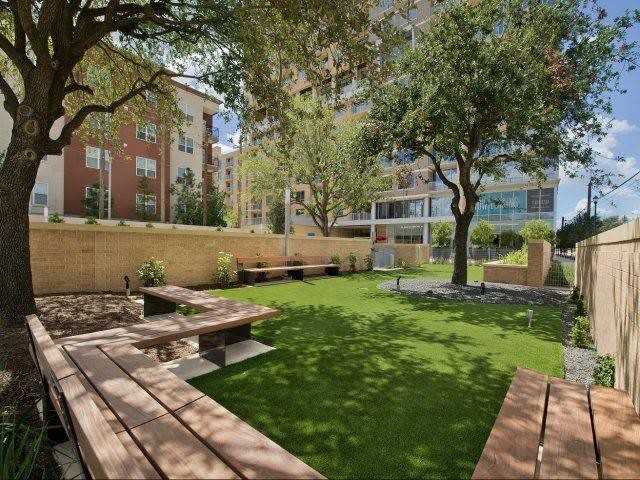 3210 W Dallas St #187538 - Photo 6 of 11
