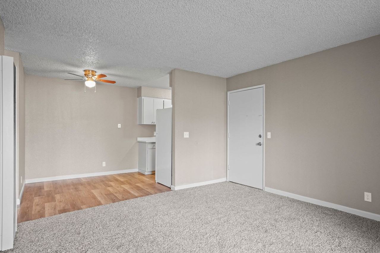 10460 El Mercado Drive - Photo 4 of 20