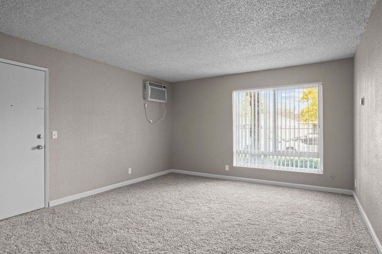 10460 El Mercado Drive - Photo 5 of 20