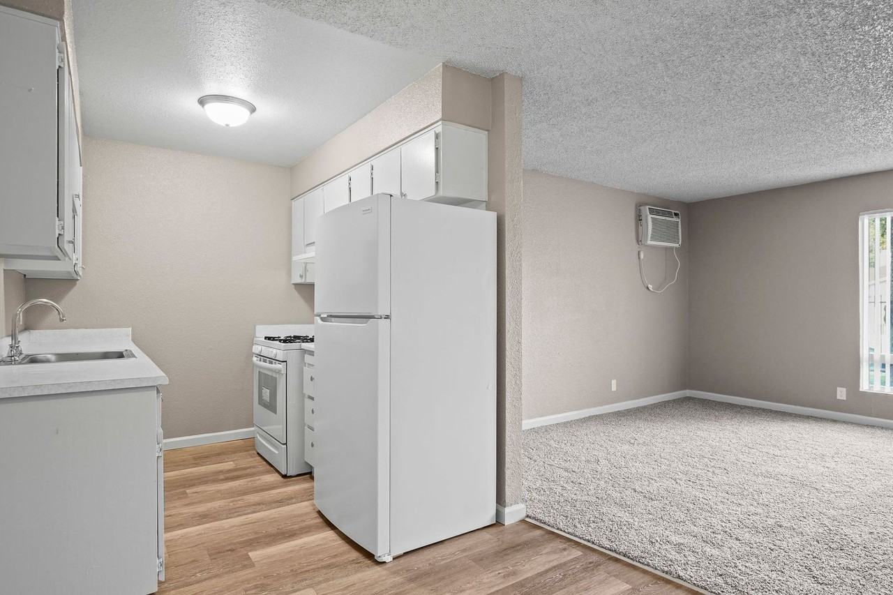 10460 El Mercado Drive - Photo 6 of 20