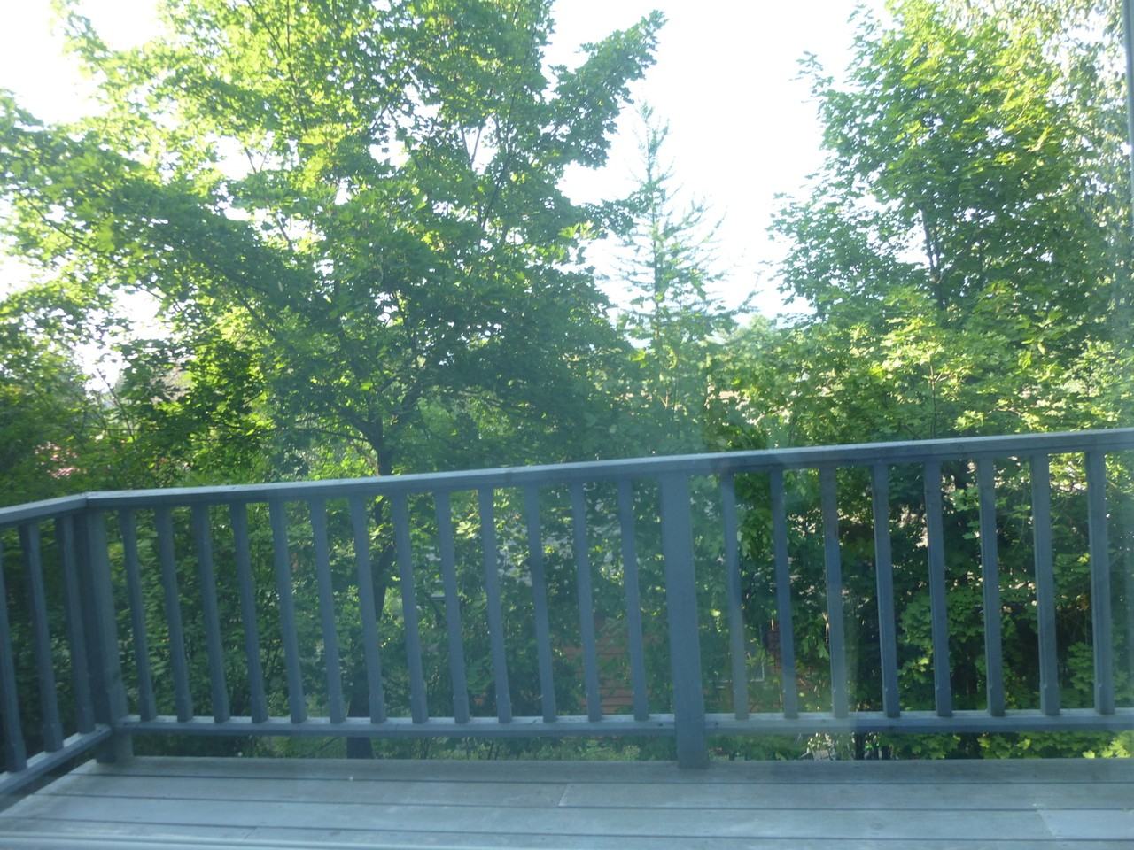 620 Obrien Ave - Photo 6 of 14