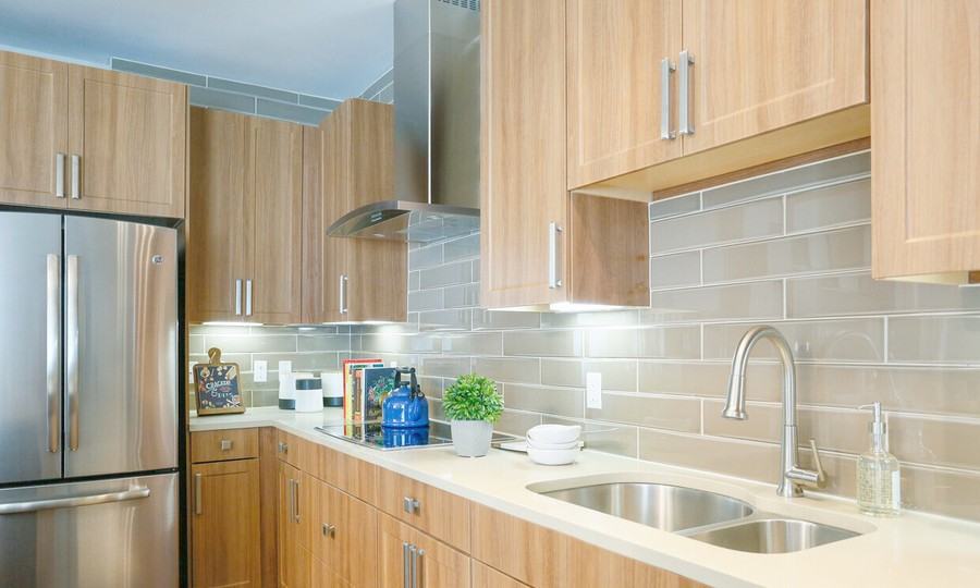 3255 Las Palmas St #193319 - Photo 4 of 11