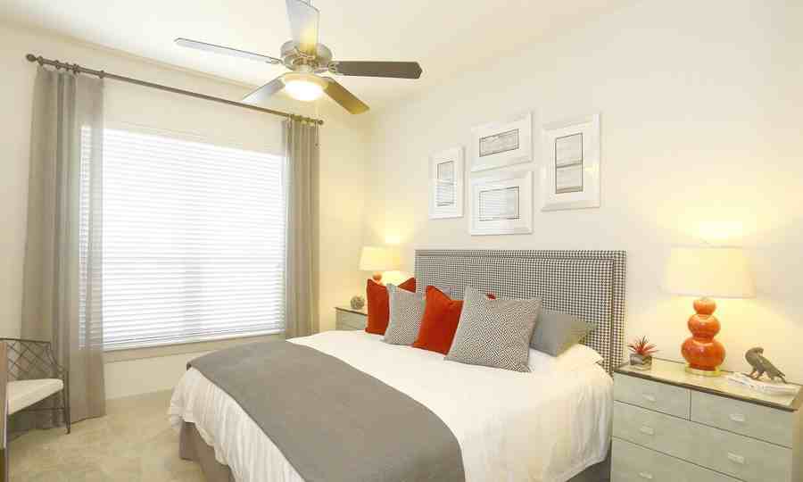 4600 Mueller Blvd #150830 - Photo 6 of 11