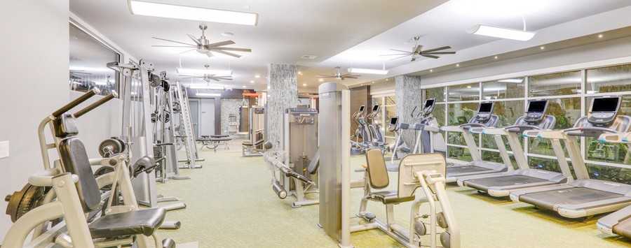 1509 S Lamar Blvd #154900 - Photo 6 of 11