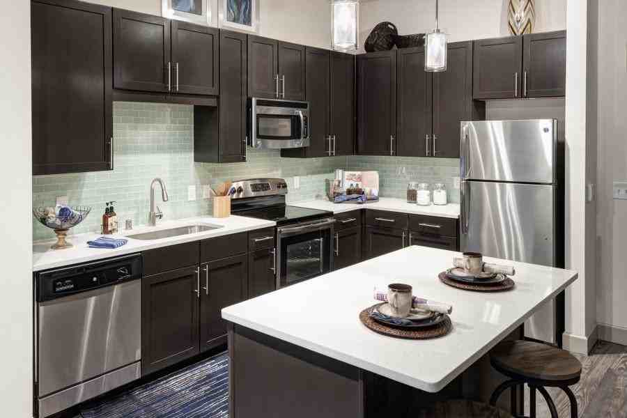 3825 Mapleshade Ln #23353 - Photo 4 of 11