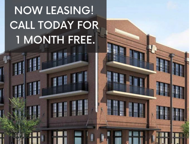 8350 Dallas Pkwy Ste 200 #2439 - Photo 3 of 11