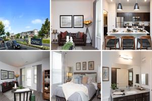 featured image of 24215 Mountain Blue