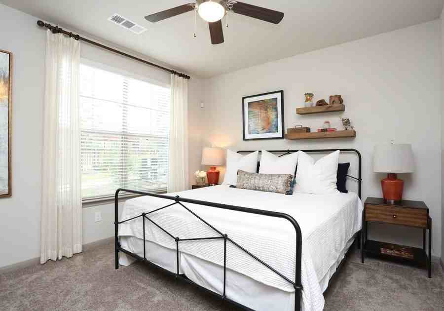 6202 Roxbury Dr #165784 - Photo 5 of 11