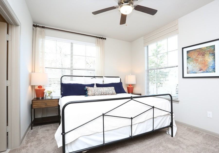 6202 Roxbury Dr #168902 - Photo 4 of 6