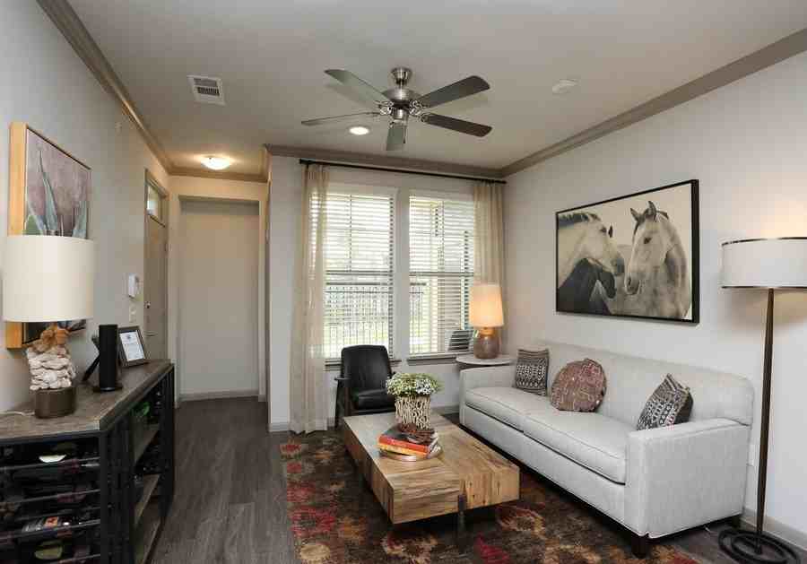 6202 Roxbury Dr #168697 - Photo 3 of 11