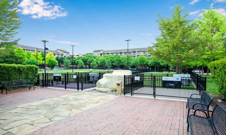 4955 Addison Cir #1646 - Photo 7 of 22