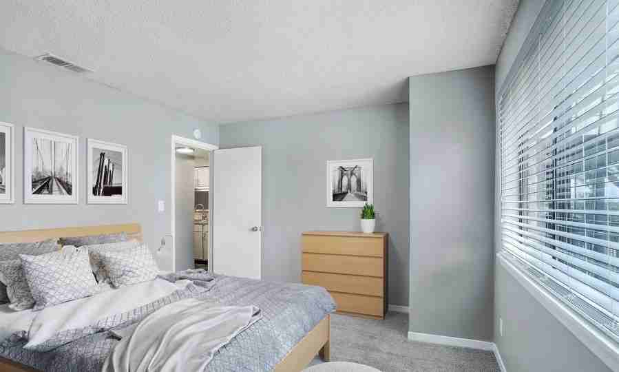 2317 Windsprint Way #1228 - Photo 4 of 18