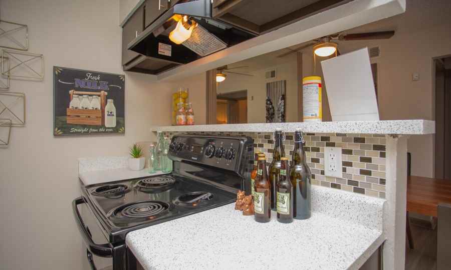 4933 Wild Holly Ln #1151 - Photo 4 of 50