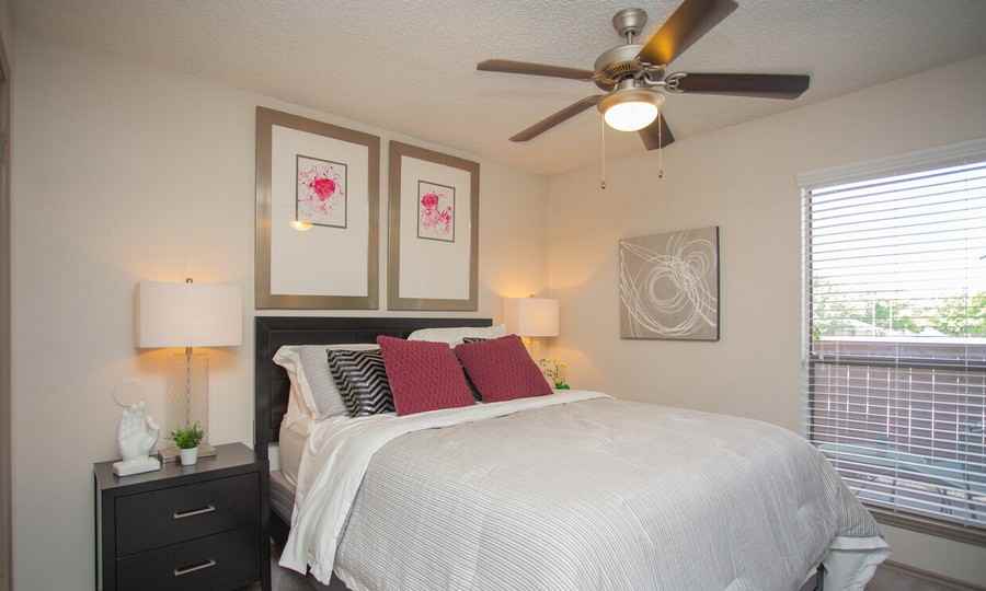 4933 Wild Holly Ln #1151 - Photo 5 of 50