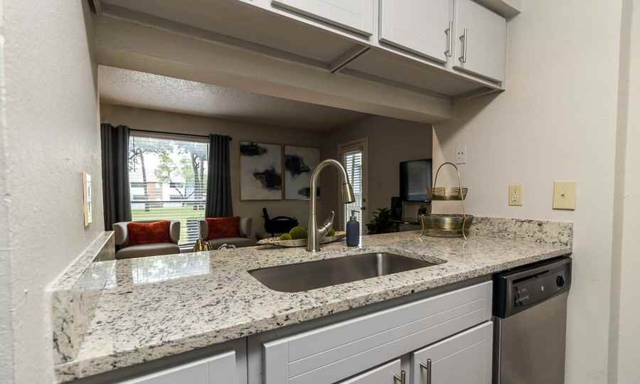 1434 Sierra Springs Dr #4391