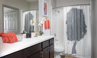 516 E Stassney Ln #1854 - Photo 1 of 1