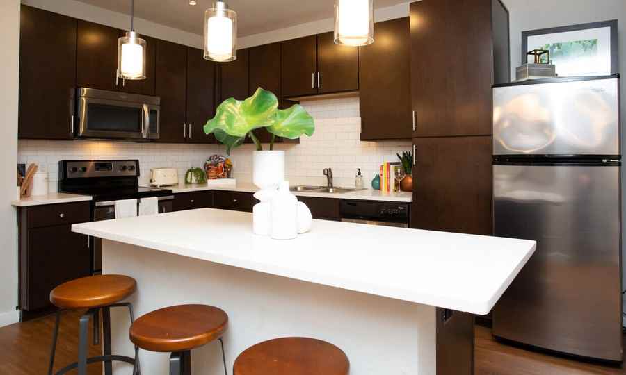 1225 S Lamar Blvd #672 - Photo 5 of 20